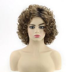 2 Pcs Womens Temperament Fluffy Small Curly Wig