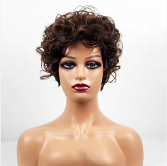 5 Pcs Womens Short Brown Fluffy Small Curly Wig